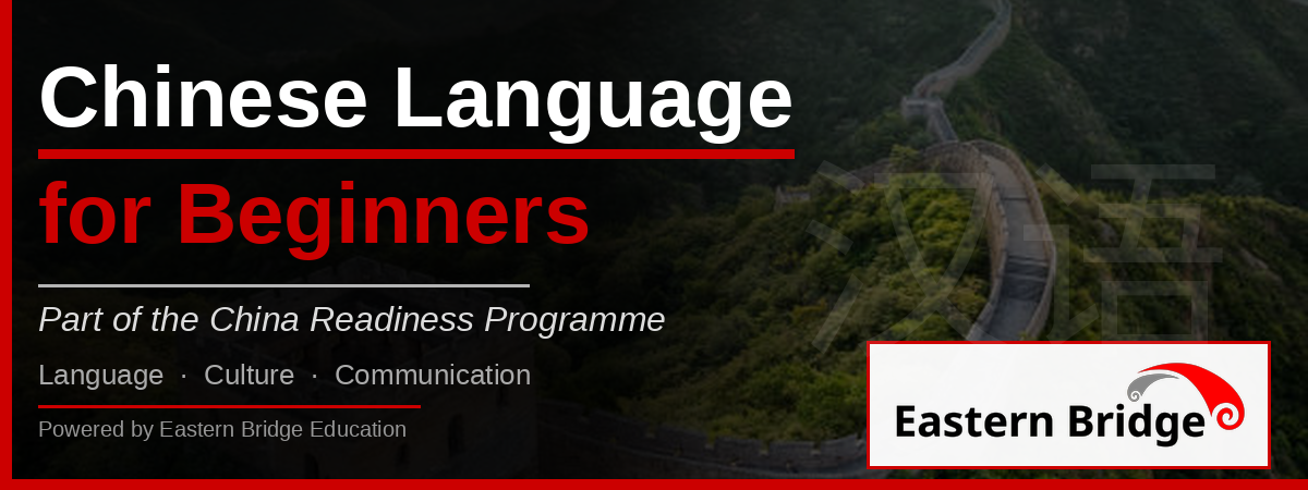 Chinese Langauge - Beginner